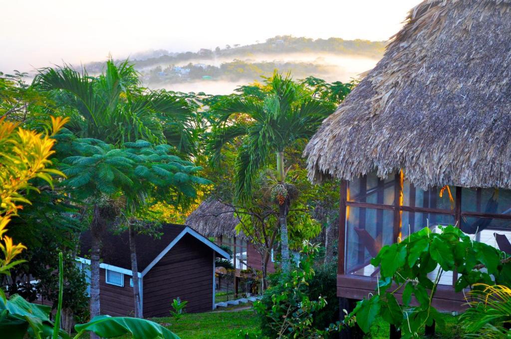 Cahal Pech Village Resort サン・イグナシオ エクステリア 写真